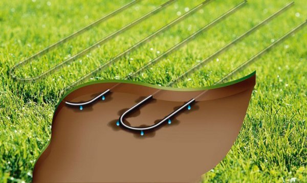 Капельный полив газона