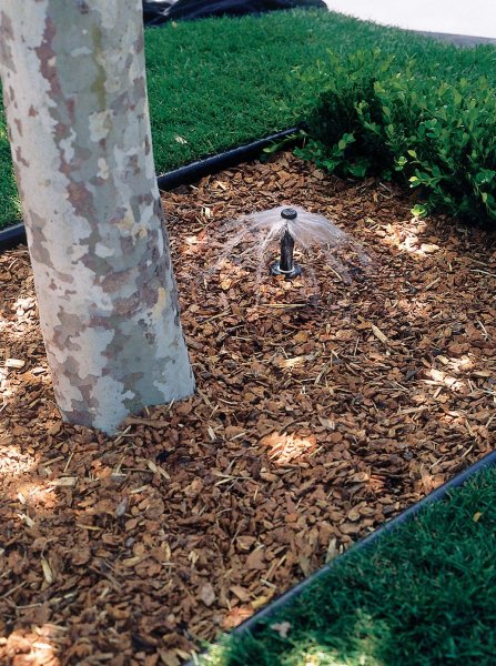 Полив деревьев баблерами